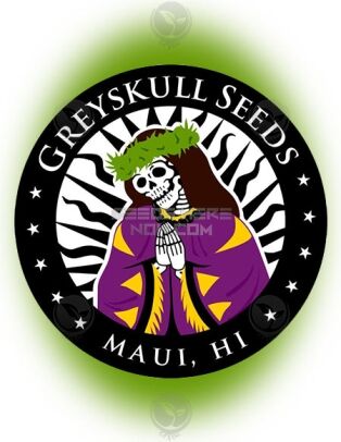 Greyskull-seeds