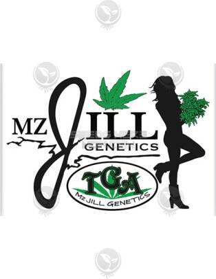 Breeder of the Month