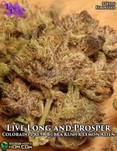 Live Long and Prosper (Feminized) (space) La Plata Labs