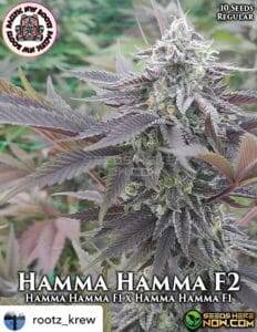 Hamma Hamma F2 (Regular) (space) Pacific Northwest Roots