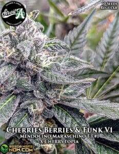 Cherries Berries & Funk V1 (Regular) (space) Strait A Genetics