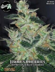 Jimmy's Cherries (Regular) (space) Strait A Genetics