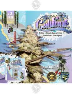 Califunk 710 Bonus Pack (Feminized) (space) T.H. Seeds