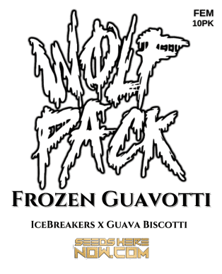 Frozen Guavotti (Feminized) (space) Wolfpack Selections
