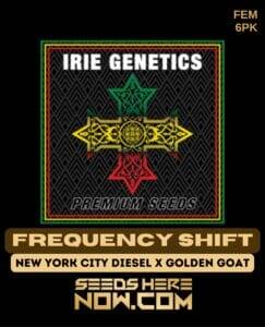 Frequency Shift (Feminized) (space) Irie Genetics