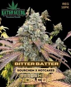 Bitter Batter (Regular) (space) Katsu Seeds