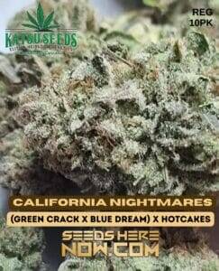 California Nightmares (Regular) (space) Katsu Seeds
