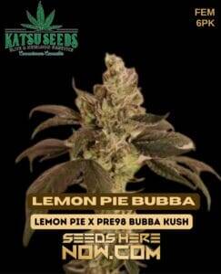 Lemon Pie Bubba (Feminized) (space) Katsu Seeds