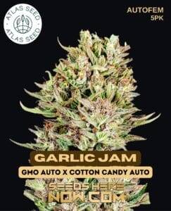 Garlic Jam (Autoflower) (space) Atlas Seeds