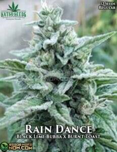 Rain Dance (Regular) (space) Katsu Seeds