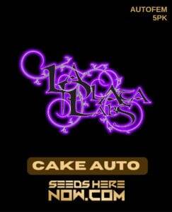 Cake Auto (Wedding Cake) (Autoflower) (space) La Plata Labs