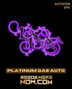 Platinum Gas Auto (Autoflower) (space) La Plata Labs