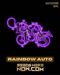 Rainbow Auto (Zkittlez) (Autoflower) (space) La Plata Labs