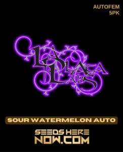 Sour Watermelon Auto (Autoflower) (space) La Plata Labs