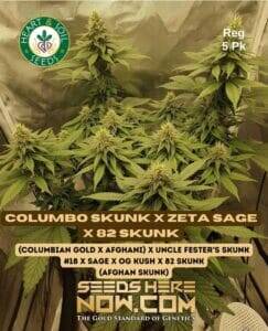 Columbo Skunk x Zeta S.A.G.E. x 82 Skunk (Regular) (space) Heart & Soil Seeds
