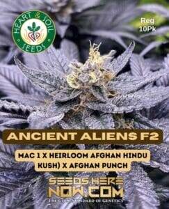 Ancient Aliens F2 (Regular) (space) Heart & Soil Seeds