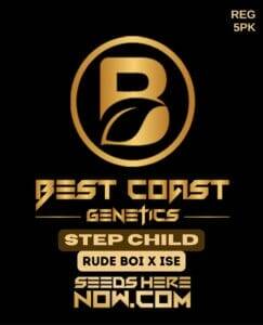 Step Child (Regular) (space) Best Coast Genetics