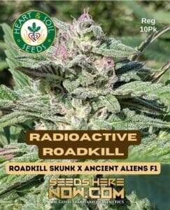 Radioactive Roadkill (Regular) (space) Heart & Soil Seeds