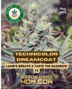 Technicolor Dreamcoat (Regular) (space) Heart & Soil Seeds