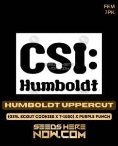 Humboldt Uppercut (Feminized) (space) CSI Humboldt