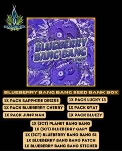 Blueberry Bang Bang Seed Bank Box (Feminized) (space) Exotic Genetix