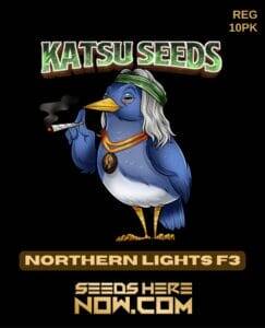 Northern Lights F3(Regular) (space) Katsu Seeds