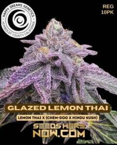 Glazed Lemon Thai (Regular) (space) Happy Dreams Genetics