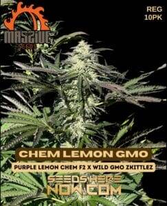 Chem Lemon GMO (Regular) (space) Massive Seeds