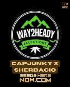 Capjunky x Sherbacio (Feminized) (space) Way2heady Selections