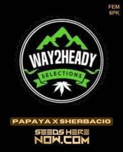 Papaya x Sherbacio (Feminized) (space) Way2heady Selections