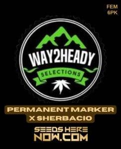 Permanent Marker x Sherbacio (Feminized) (space) Way2heady Selections