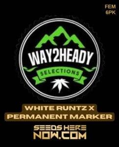 White Runtz x Permanent Marker (Feminized) (space) Way2heady Selections