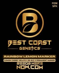 Rainbow Lemon Marker (Feminized) (space) Best Coast Genetics