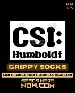 Grippy Socks (Feminized) (space) CSI Humboldt