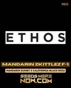 Mandarin Zkittlez F(space)1 (Regular) (space) Ethos Genetics