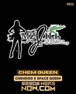 Chem Queen (Regular) (space) Mz Jill Genetics