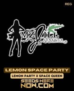 Lemon Space Party (Regular) (space) Mz Jill Genetics