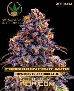 Forbidden Fruit Auto (Autoflower) (space) Automatically Delicious