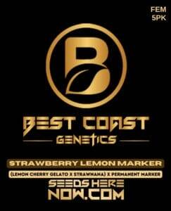 Strawberry Lemon Marker (Feminized) (space) Best Coast Genetics