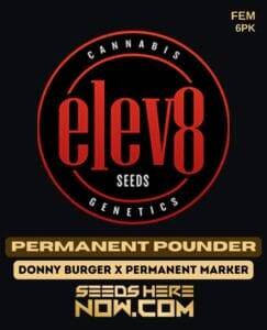 Permanent Pounder (Feminized) (space) Elev8 Seeds
