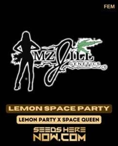 Lemon Space Party (Feminized) (space) Mz Jill Genetics
