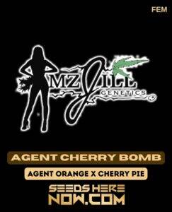 Mz Jill Genetics (space) Agent Cherry Bomb {FEM}