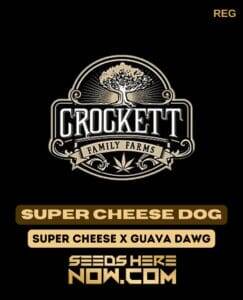 Super Cheese Dog (Regular) (space) Crockett Family Farms