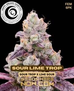 Sour Lime Trop (Feminized) (space) Happy Dreams Genetics