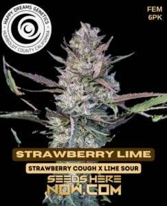 Strawberry Lime (Feminized) (space) Happy Dreams Genetics