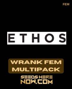 Wrank Multipack (Feminized) (space) Ethos Genetics
