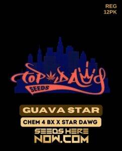 Guava Star (Regular) (space) Top Dawg Seeds
