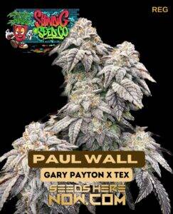 Paul Wall (Regular) (space) Shindig Seed Co.