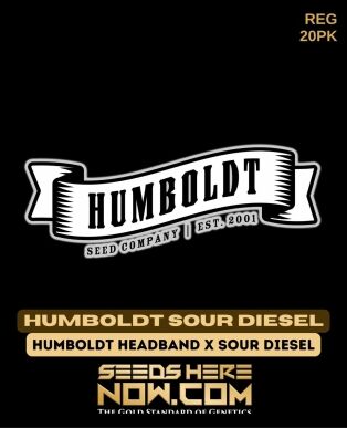 Humboldt sour diesel (regular) - humboldt seed company