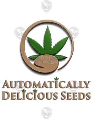 Automatically delicious - strawberry gelato auto